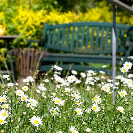 Im Gruenen Winkel Bruggen (Viersen)