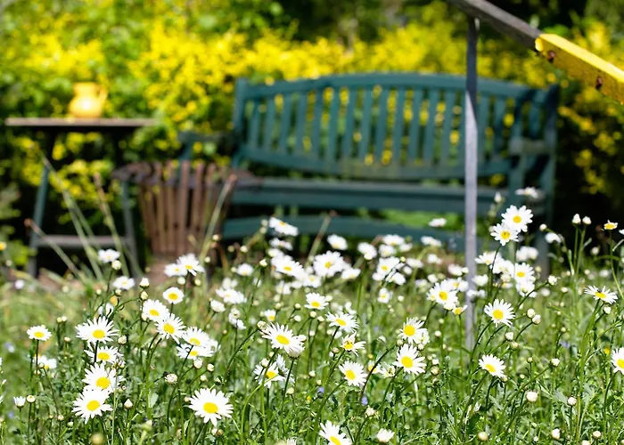 Im Gruenen Winkel Bruggen (Viersen)